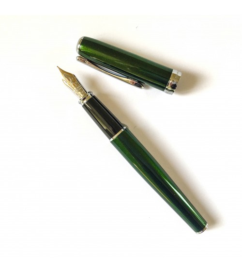 Stylo-plume Diplomat Excellence A2 couleur Evergreen, fabriqué en Allemagne