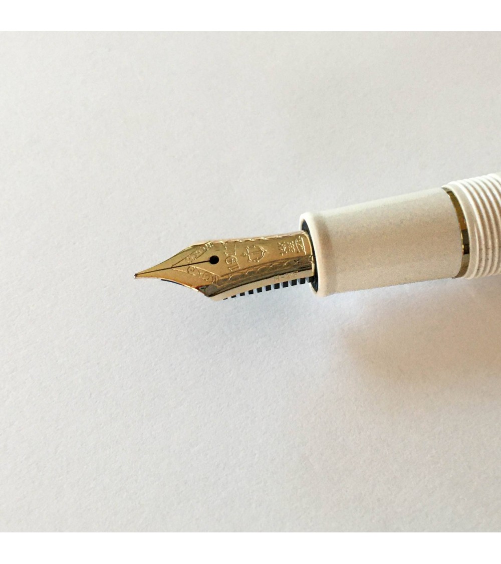 Stylo Plume Sailor Profit - Pointe Fine Et Large Pour Calligraphie