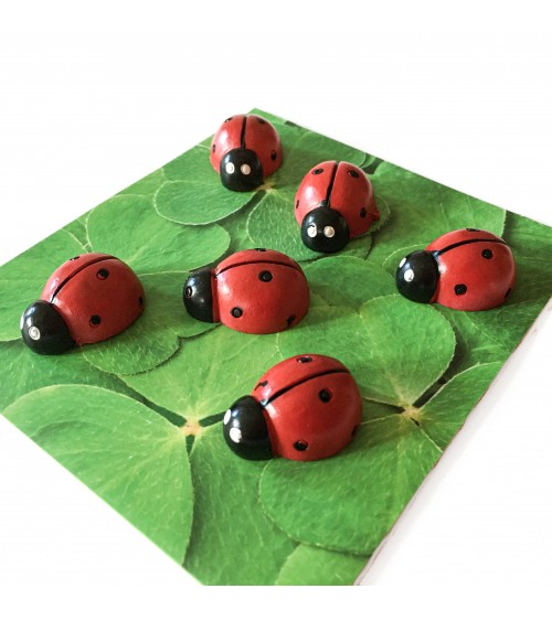 Aimants Trendform LadyBug, 6 pièces, aimant force 3