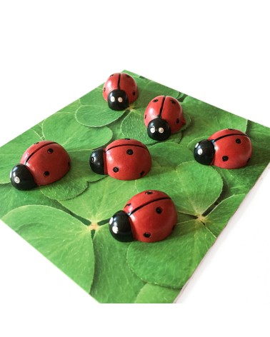Aimants Trendform LadyBug, 6 pièces, aimant force 3