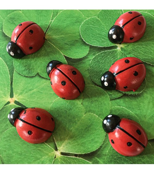Aimants Trendform LadyBug, 6 pièces, aimant force 3