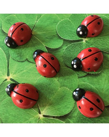 Aimants Trendform LadyBug, 6 pièces, aimant force 3