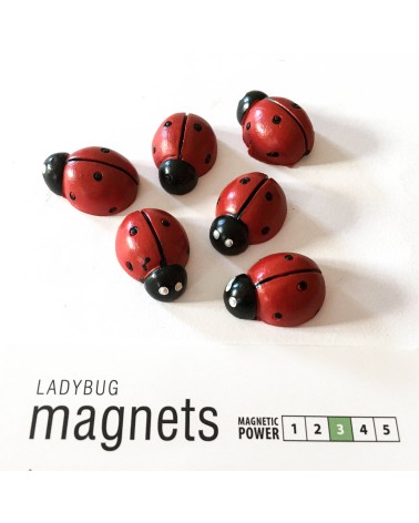 Aimants Trendform LadyBug, 6 pièces, aimant force 3