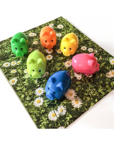 Aimants multicolores Trendform Pig, 6 pièces