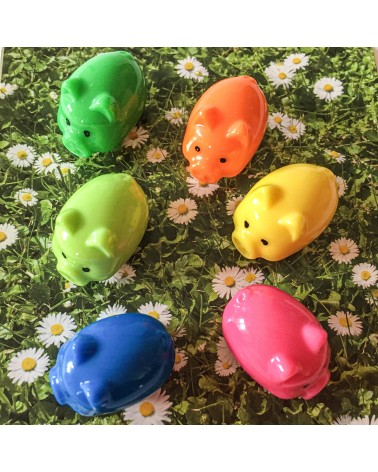 Aimants multicolores Trendform Pig, 6 pièces