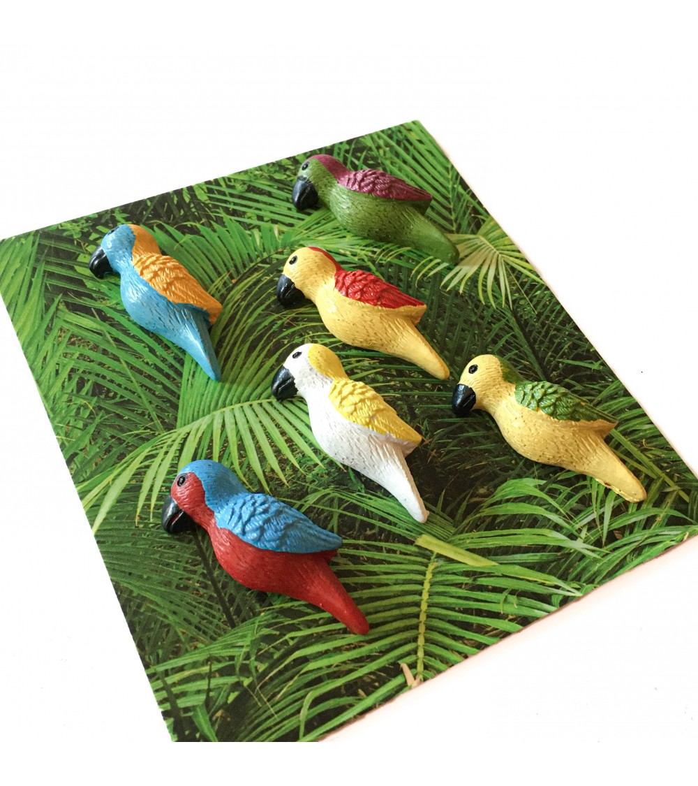 Aimants Trendform Parrot, 6 pièces, aimant force 3