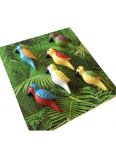 Aimants Trendform Parrot, 6 pièces, aimant force 3