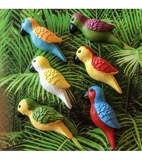 Aimants Trendform Parrot, 6 pièces, aimant force 3