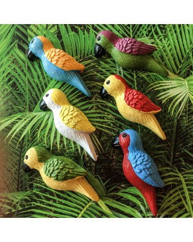 Aimants Trendform Parrot, 6 pièces, aimant force 3