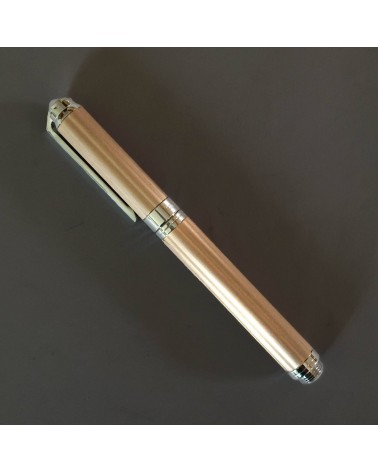 Stylo-plume Récife Iron Age Waldorf Champagne, plume B