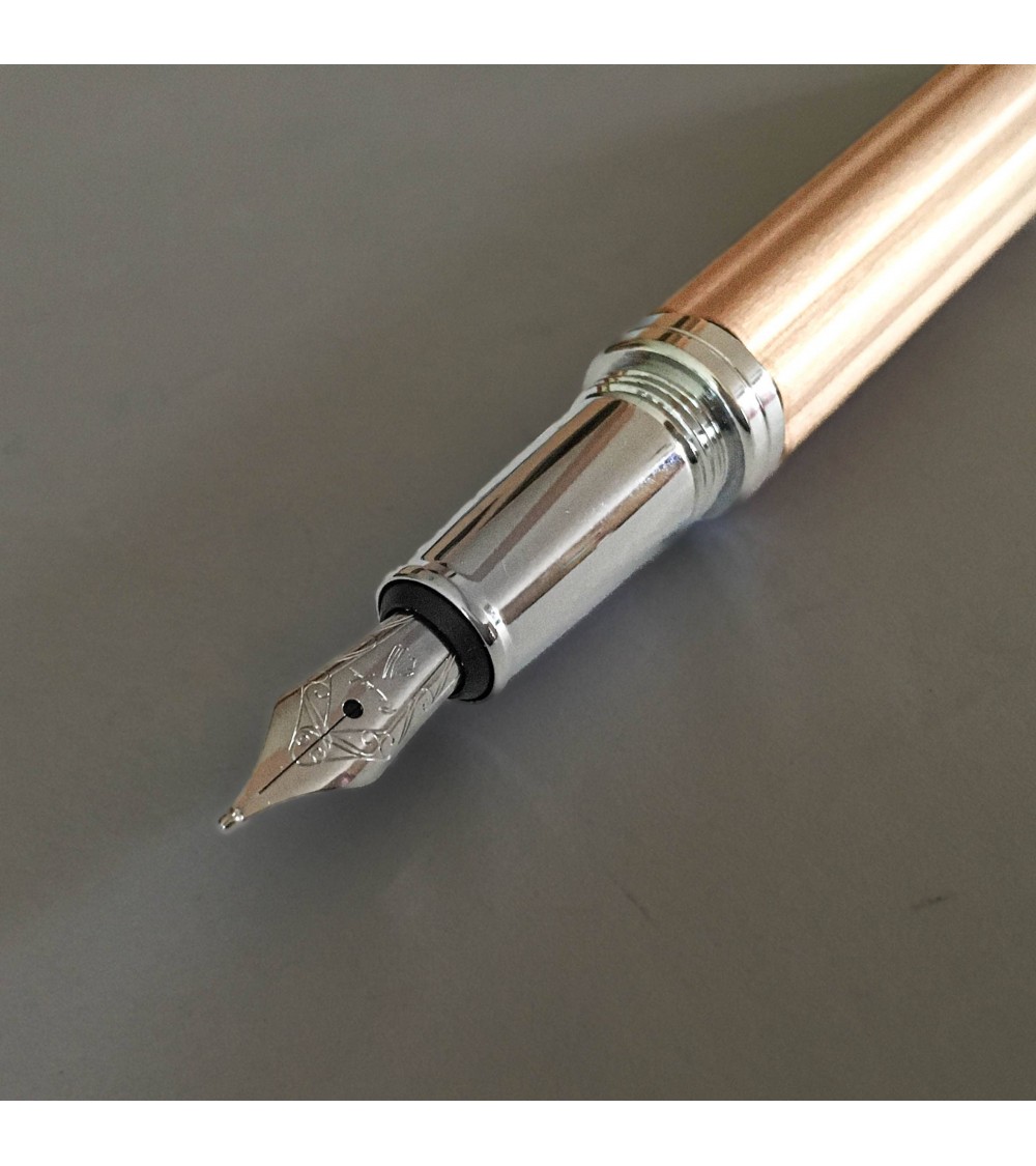 Stylo-plume Récife Iron Age Waldorf Champagne, plume B