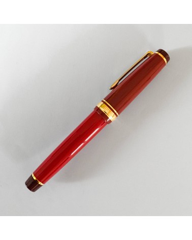 Stylo-plume Sailor PG Kanreki bec or largeur F