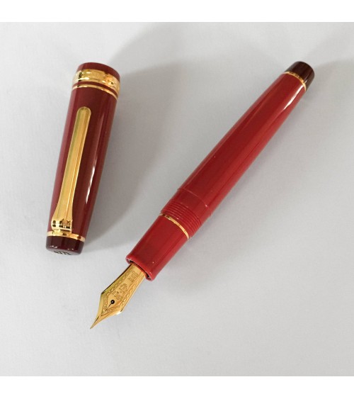 Stylo-plume Sailor PG Kanreki bec or largeur F