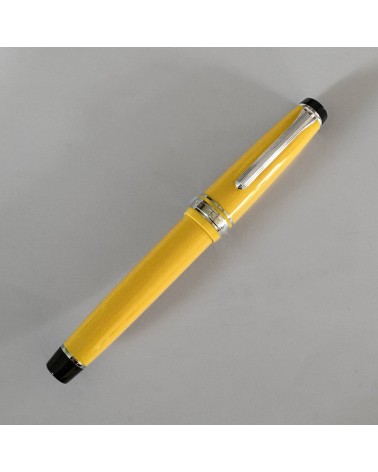 Stylo-plume Sailor PG slim Silver Yellow bec or largeur M
