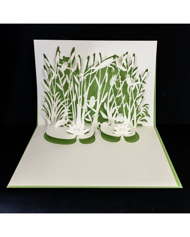 Carte pop-up Rifletto, Concert de grenouilles, fabriquée en Allemagne