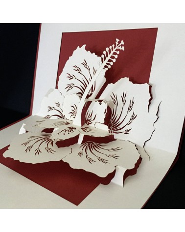 Carte pop-up Rifletto, Hibiscus, fabriquée en Allemagne