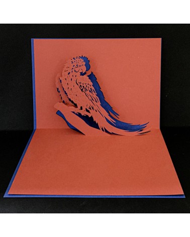 Carte pop-up Rifletto, Perroquet, fabriquée en Allemagne