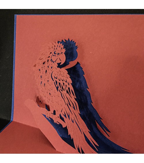 Carte pop-up Rifletto, Perroquet, fabriquée en Allemagne