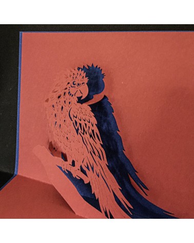 Carte pop-up Rifletto, Perroquet, fabriquée en Allemagne