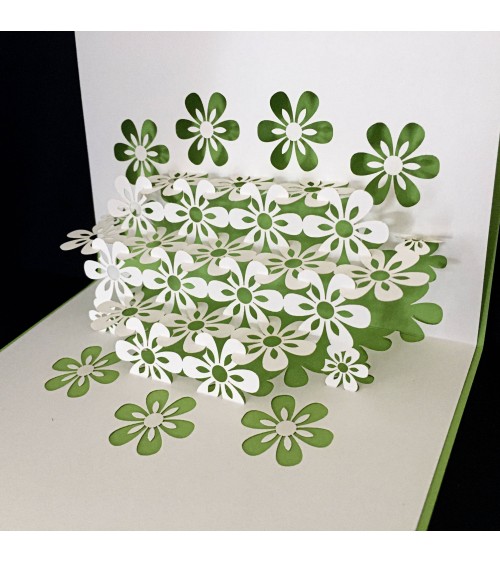 Carte pop-up Rifletto, Printemps, fabriquée en Allemagne