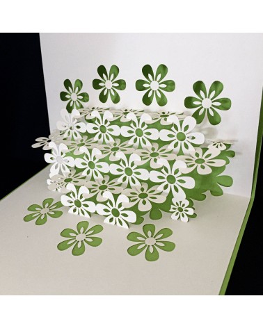 Carte pop-up Rifletto, Printemps, fabriquée en Allemagne