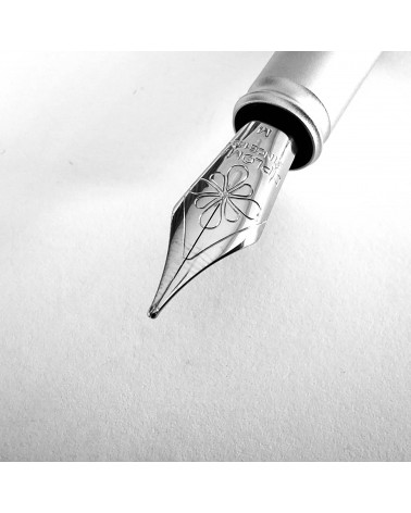 Stylo-plume Diplomat Aero Evergreen, plume acier inoxydable, fabriqué en Allemagne