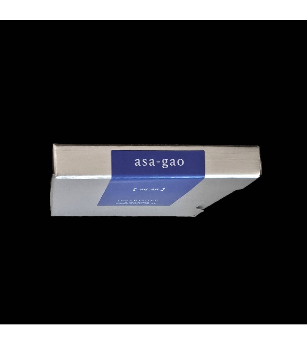 Cartouches Iroshizuku pour stylos-plume de la marque Pilot, Asa-Gao (bleu-roi)