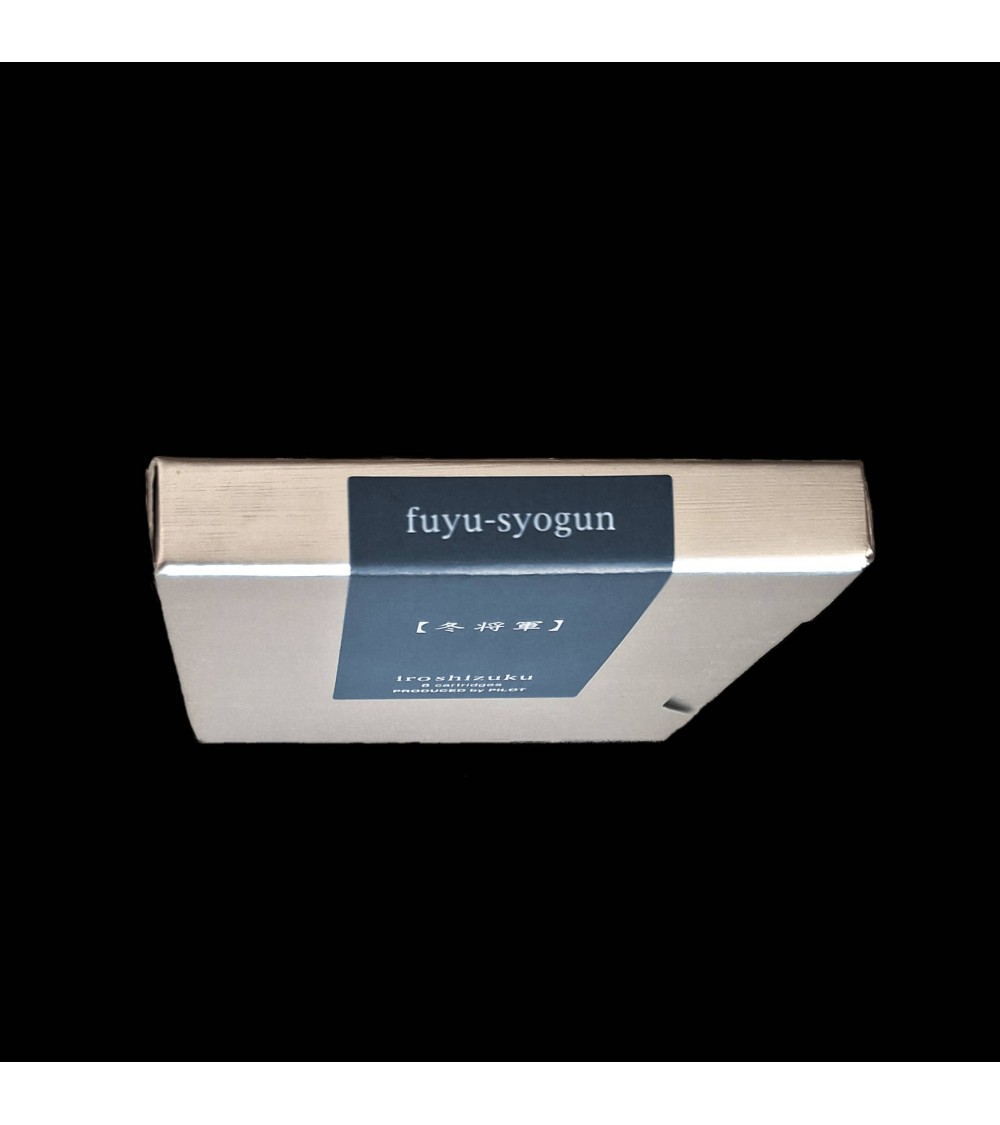 Cartouches Iroshizuku pour stylos-plume de la marque Pilot, Fuyu-Syogun (gris bleu)