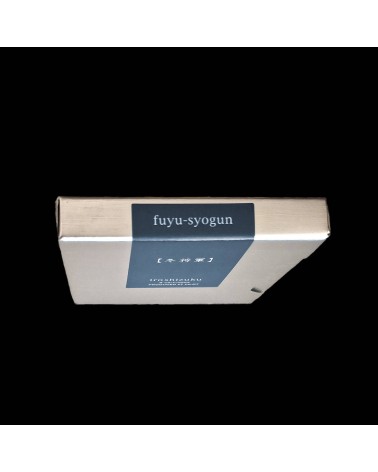 Cartouches Iroshizuku pour stylos-plume de la marque Pilot, Fuyu-Syogun (gris bleu)