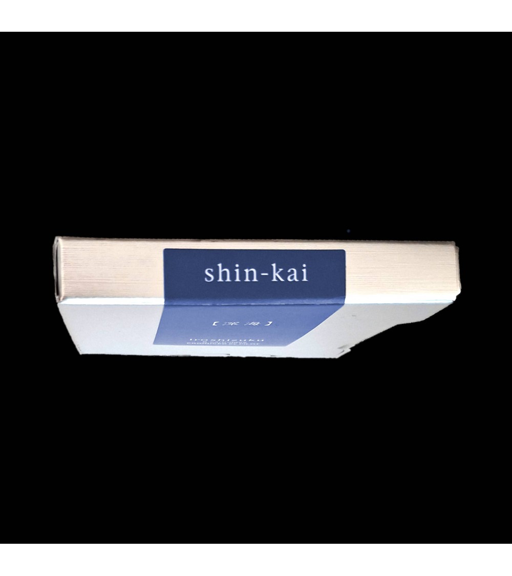 Cartouches Iroshizuku pour stylos-plume de la marque Pilot, Shin-Kai (bleu medium-gris)