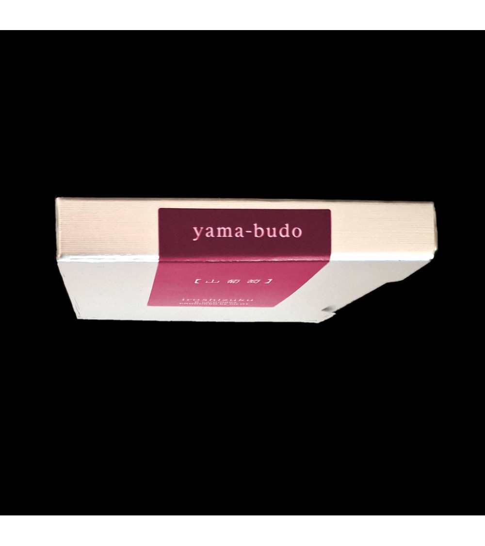 Cartouches Iroshizuku pour stylos-plume de la marque Pilot, Yama-Budo (pourpre)