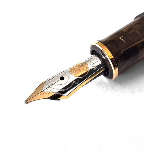 Stylo-plume à piston Pelikan Souverän M600 Art Collection Georg Tippel, plume or 14 carats
