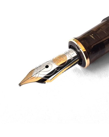 Stylo-plume à piston Pelikan Souverän M600 Art Collection Georg Tippel, plume or 14 carats
