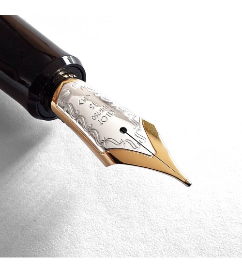 Stylo-plume Pilot Custom Enju, corps bois d’arbre des pagodes, bec or 18 carats largeur M, étui cuir