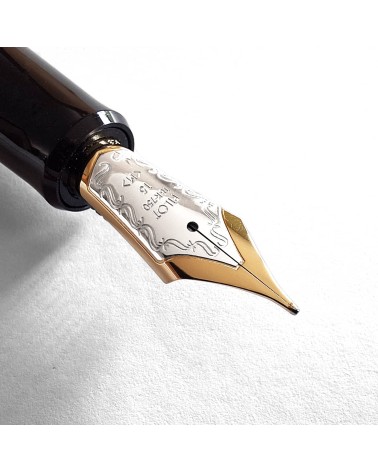 Stylo-plume Pilot Custom Enju, corps bois d’arbre des pagodes, bec or 18 carats largeur M, étui cuir