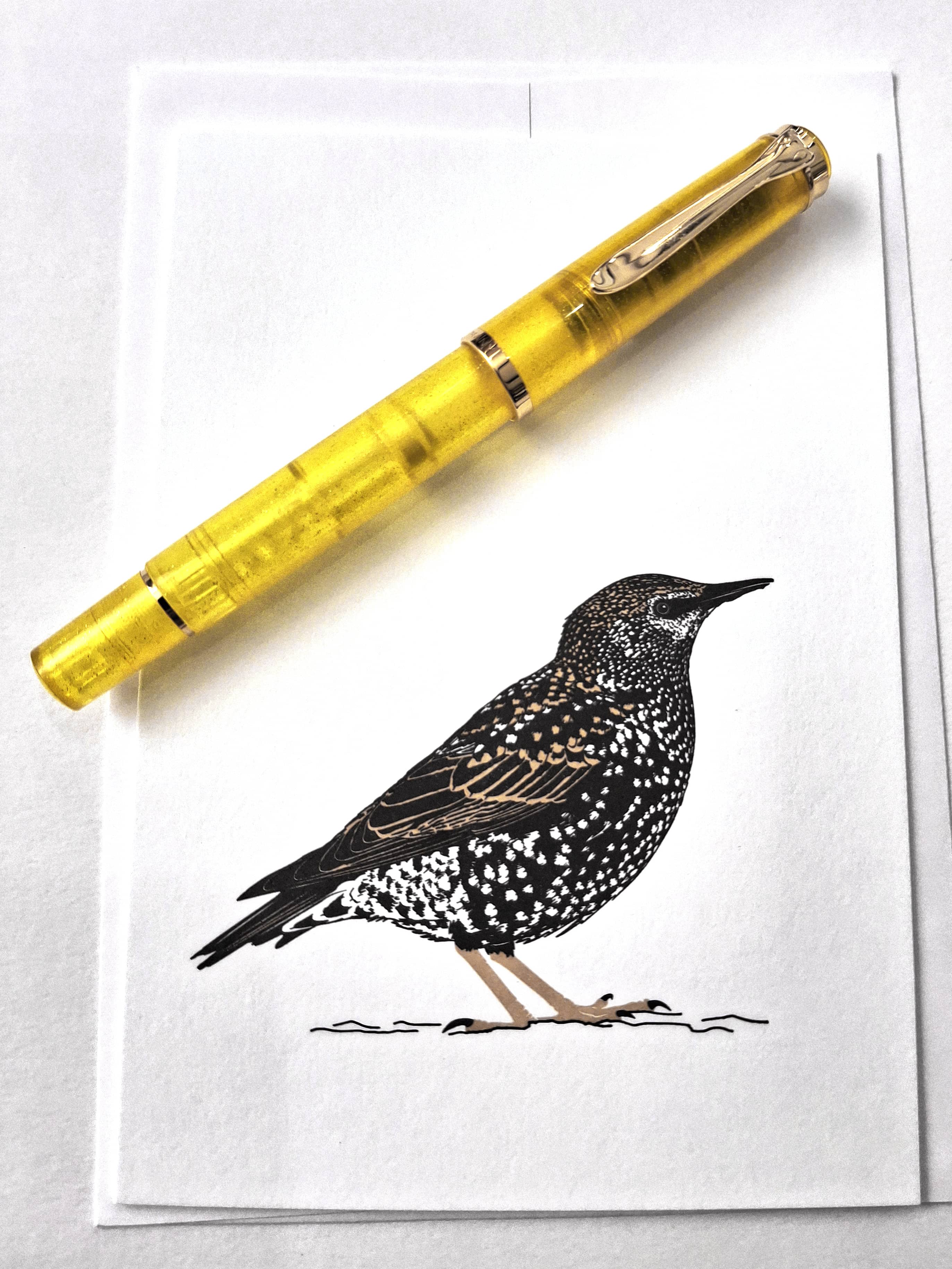 Stylo-plume Pelikan M200 Pyrite_Carte KObold
