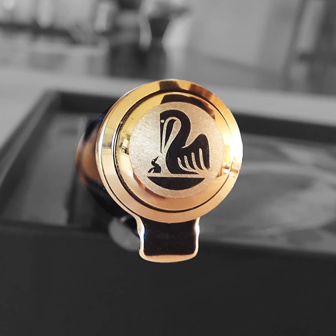 Stylo-plume Pelikan M600 Souverän  Art Rudi Rother